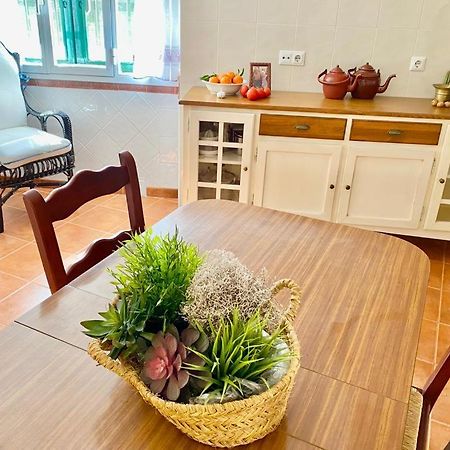 Casa Rural Manantial De Las Jaras Istán Dış mekan fotoğraf