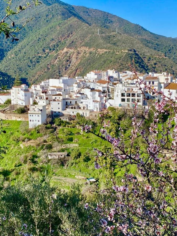 Casa Rural Manantial De Las Jaras Istán Dış mekan fotoğraf