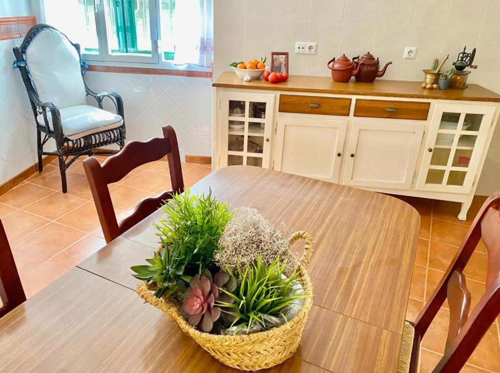 Casa Rural Manantial De Las Jaras Istán Dış mekan fotoğraf