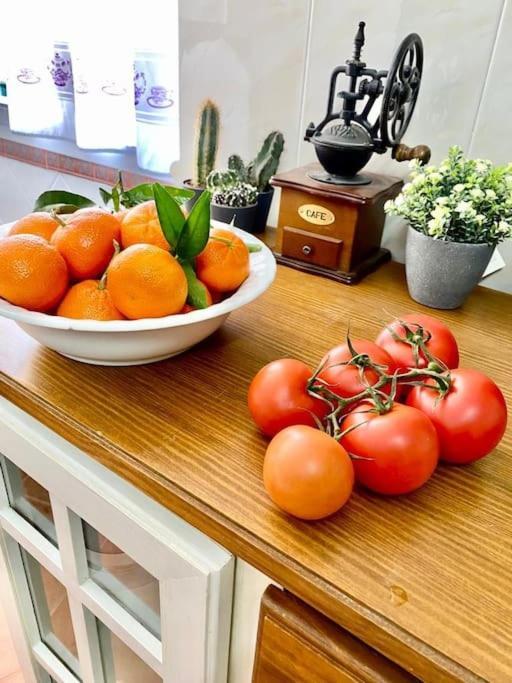 Casa Rural Manantial De Las Jaras Istán Dış mekan fotoğraf